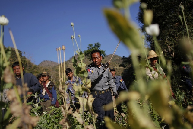 Police seize more than 900kg of opium in Shan state