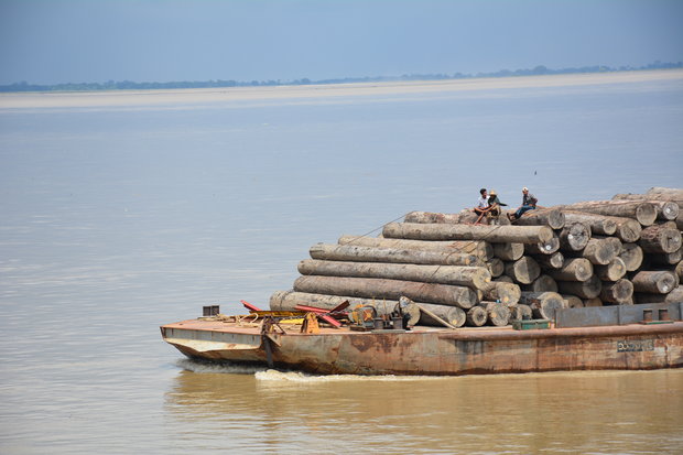 Cronies leave Burma ‘no longer resource rich in timber’