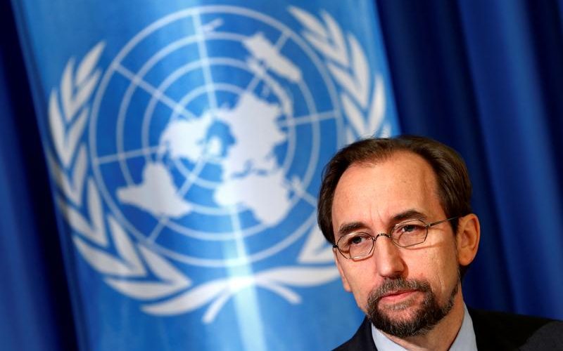 Suu Kyi vows to investigate crimes against Rohingya: UN human rights chief
