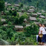 mae la1