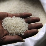 rice2