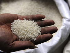 Burmese govt signs international MoU to expand rice sector