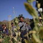 To match Special Report MYANMAR/OPIUM