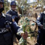 To match Special Report MYANMAR/OPIUM