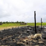 A dog is seen at a police camp that was burnt by the Rohingya during a riot near Ohntawgyi village