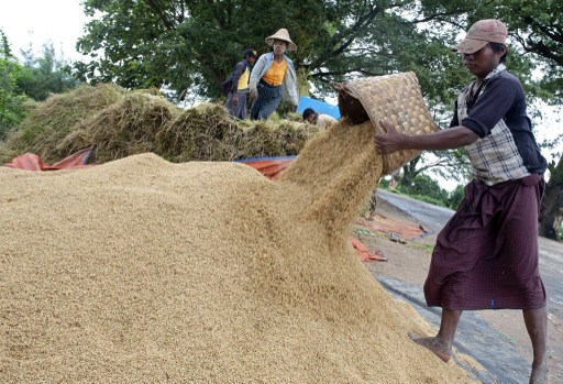 China, India look to Burma’s abundant rice fields