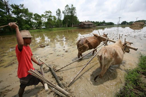 Agriculture: Burma must ease export laws to encourage FDI
