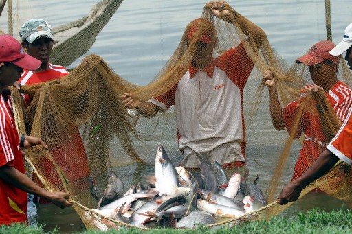 Irrawaddy villagers protest over fishing rights