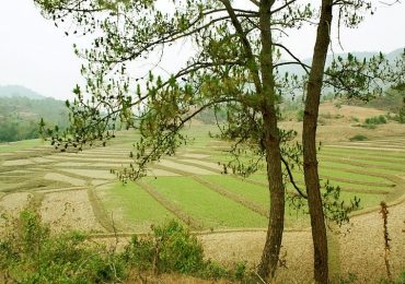 Jail, hard labour for 70 year-old couple    