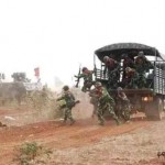 truckload Burmese