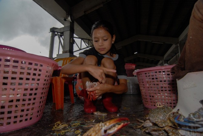 A young girl packs crab at the port of Ranong in southern Thailand. (PHOTO: John Hulme)