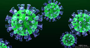 The MERS virus currently has no vaccine. (PHOTO: Wikicommons).