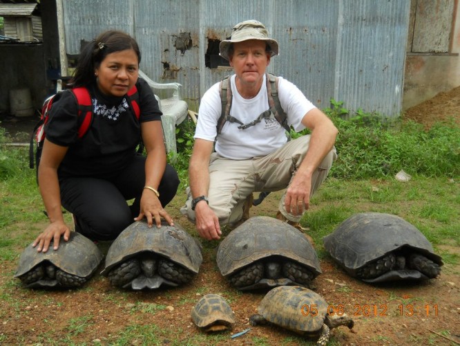 Turtle conservationist rewarded for efforts in Burma
