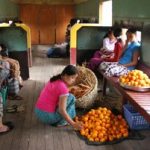rsz_rangoon_train embed