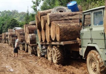 Burma army to assist in tackling illegal logging in Kachin