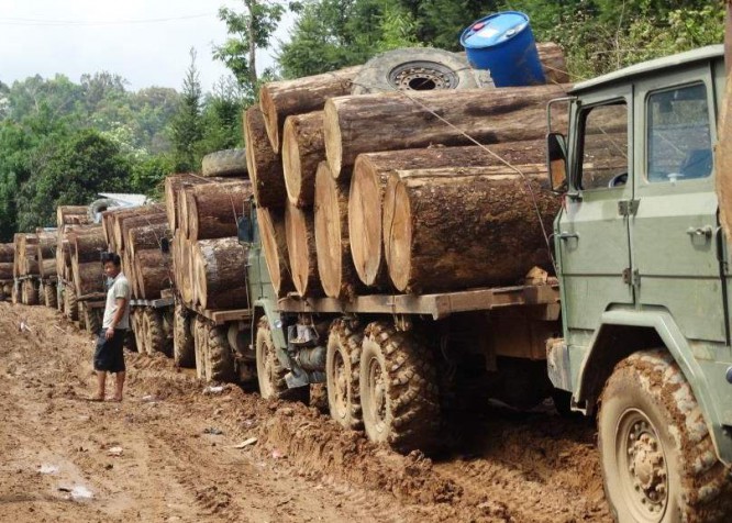 Loggers declare one-year moratorium