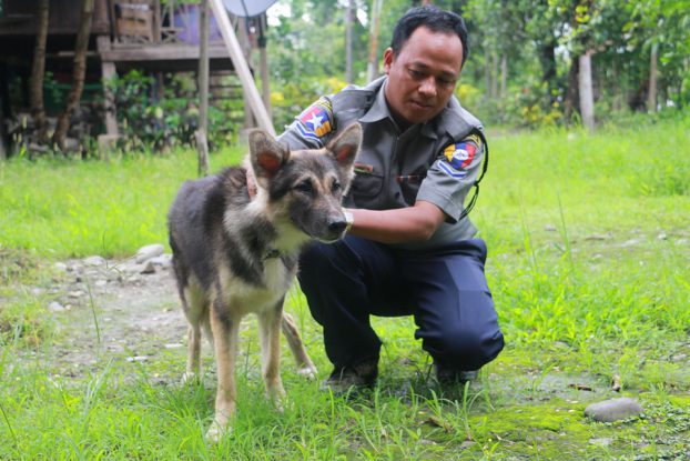 Puppy to sniff out crime in Sagaing