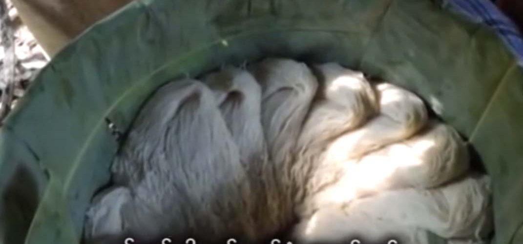 Formalin found in rice noodles and tofu