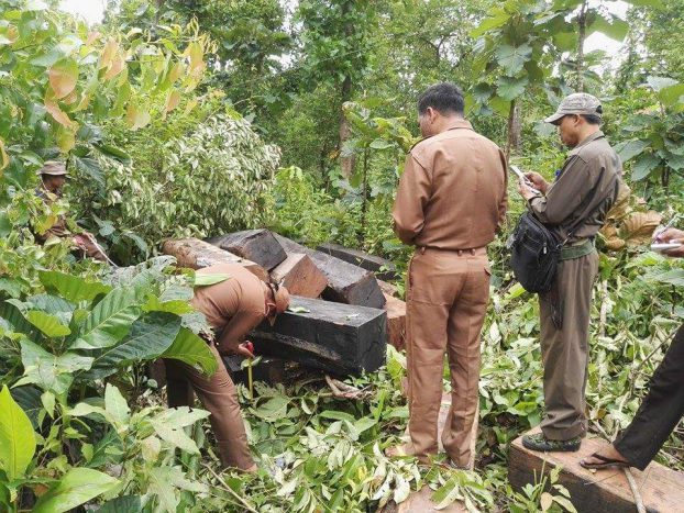 Sagaing seizes 800 tons of illegally logged timber so far this year