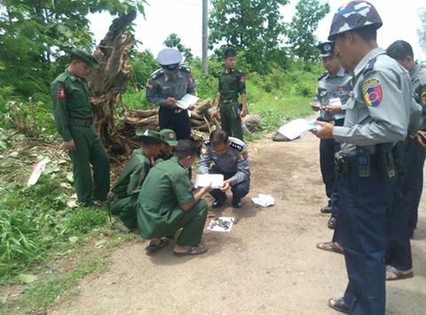 IED fells tree in Hpa-an; no one injured