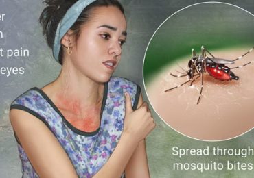 Burmese consulate issues Zika warning in Chiang Mai
