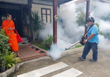 Thailand considers Zika tests for all pregnant women