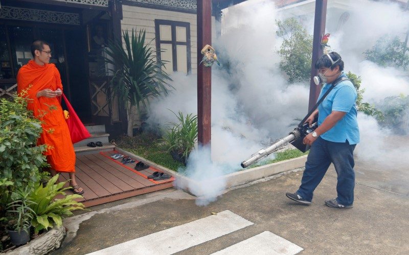 Thailand considers Zika tests for all pregnant women