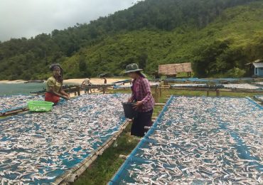 Logging exposé leads to threats against fishermen