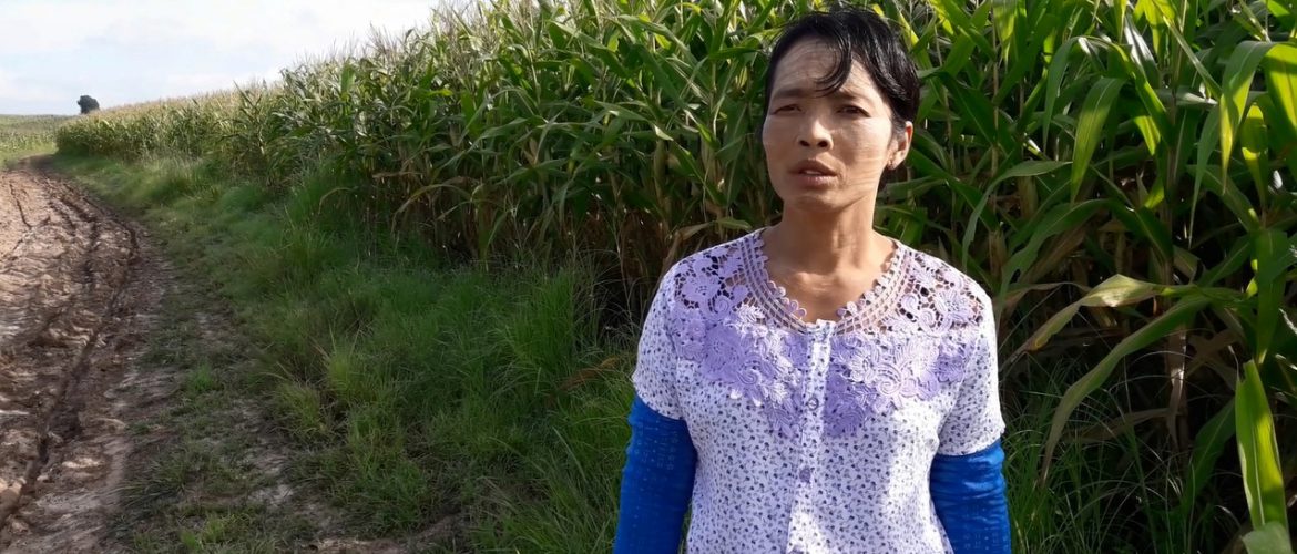 Freed farmers renew fight against Burmese Army over land