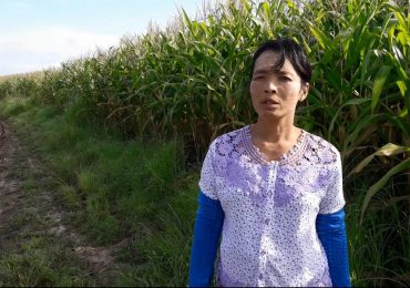 Freed farmers renew fight against Burmese Army over land