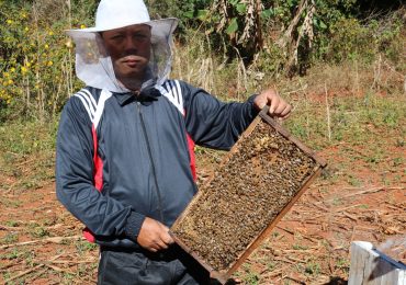 As honey sales rise, growing buzz surrounds beekeeping in Burma