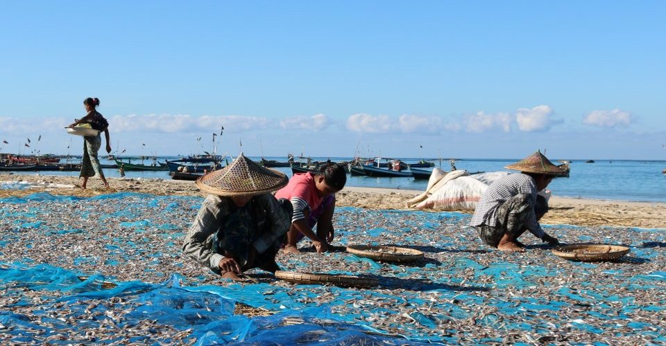 As catches fall, fishermen in Arakan State sink into debt