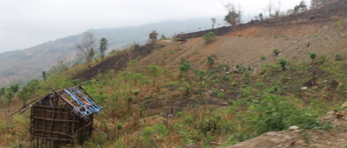 Efforts to change Chin farming habits seek to slow harmful deforestation