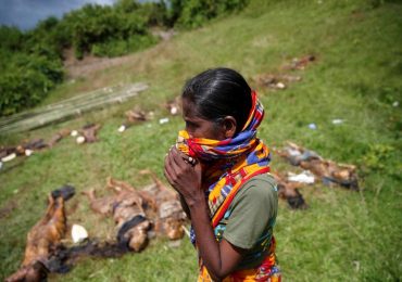 ARSA militants killed Hindu villagers in Rakhine violence: Amnesty