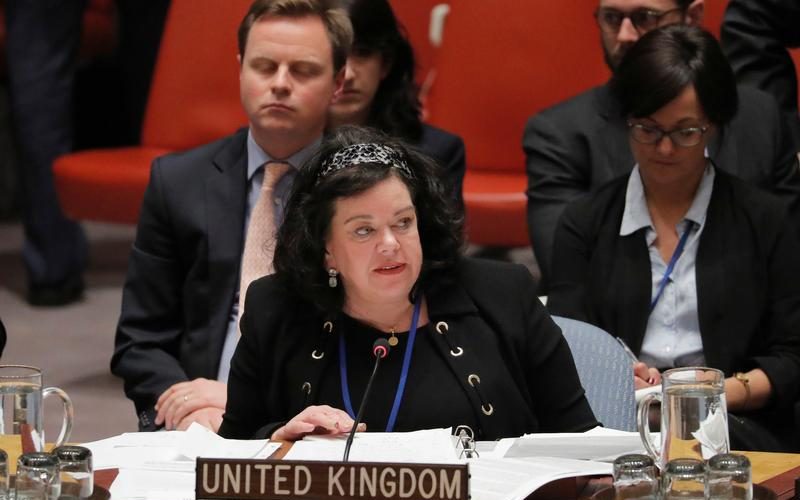 UN could help Burma gather evidence of crimes against Rohingya: UK envoy